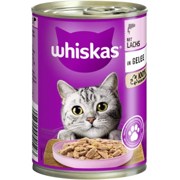 Adult 1+ Gelee 12x400g Lachs Whiskas Katzenfutterdose mit einer grauen getigerten Katze auf einem lila Hintergrund, mit einer Schüssel mit Nassfutter davor, beschriftet 'mit Lachs in Gelee.'