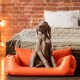 Ein grauer Weimaraner-Hund sitzt in einem leuchtend orangefarbenen Haustierbett, mit einer gemütlichen gestrickten Decke und einem Bett im Hintergrund.