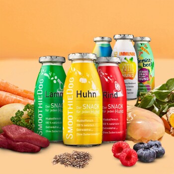 Eine "Gemüse Beet" SmoothieDog Gemüse-Snackflasche umgeben von frischen Karotten, Kürbis und Rüben auf einem rosa Hintergrund.