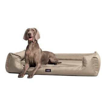 Ein brauner Hund sitzt auf einem beigen Haustierbett, mit einem Textüberlagerung, die besagt: 'INKLUSIVE MATRAZENSCHONER GIBT'S OBENDRAUF.'