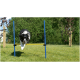 Ein schwarz-weißer Hund springt über ein gelbes Agility-Hindernis auf einem grasbewachsenen Feld, umgeben von Bäumen und einem klaren blauen Himmel.