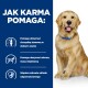 Golden retriever siedzący na niebieskim tle z tekstem opisującym korzyści z karmy dla psów: wspiera zdrowie stawów, masę mięśniową i układ odpornościowy.