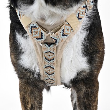 Nahaufnahme der Brust eines Hundes, der ein stilvolles beiges Geschirr mit einem bunten geometrischen Muster an den Riemen trägt.