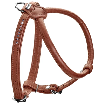 Braunes Leder-Haustiergeschirr mit dekorativen Strasssteinen, mit verstellbaren Riemen und einem Metall-D-Ring zur Befestigung der Leine.