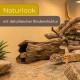 Leopardengeckos in sandigem Terrarium mit hohlem Log-Versteck; Text: 'Naturlook - mit detailreicher Rindenstruktur'