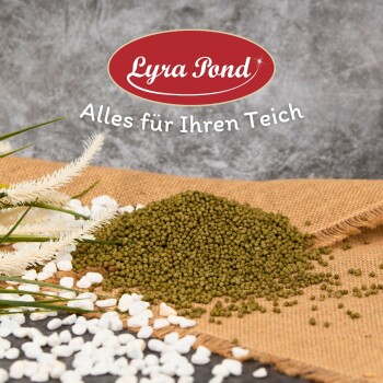 Hände halten kleine, grüne Haustierfutterpellets über einer dunklen Wasseroberfläche, die die Textur und Größe des Trockenfutters betonen.