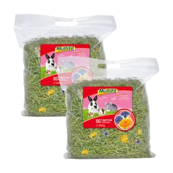 Dwie przezroczyste torby Multifit Blütenheu (siano kwiatowe) dla małych zwierząt, każda zawierająca 500g naturalnego siana z kolorowymi kwiatami.