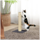 Eine dreifarbige Katze steht auf ihren Hinterbeinen und kratzt an einem hohen beigen Kratzbaum in einem gemütlichen Wohnzimmer mit einem strukturierten Teppich und einer Topfpflanze.