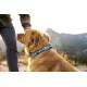 Ein Golden Retriever, der ein blaues Ruffwear-Halsband trägt, steht im Freien, während eine Person sanft seinen Kopf vor einer malerischen Berglandschaft streichelt.