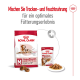Royal Canin Hundefutterverpackung mit Trocken- und Nassfutteroptionen für mittelgroße Hunde ab 10 Jahren, mit Fokus auf Unterstützung der Muskelmasse.