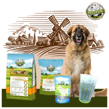 Ein großer, flauschiger Hund steht neben verschiedenen Haustierfutterprodukten von Bellfor, einschließlich Trockenfutterbeuteln und einem Messbecher, mit einem Windmühlen-Hintergrund.