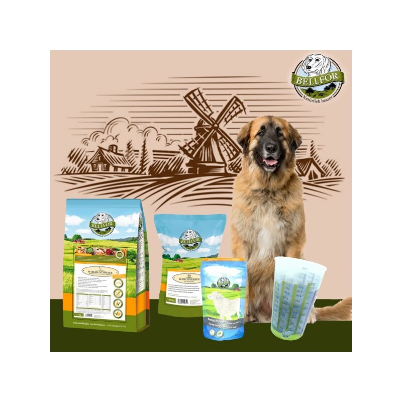 Bellfor Leonberger Futter Set