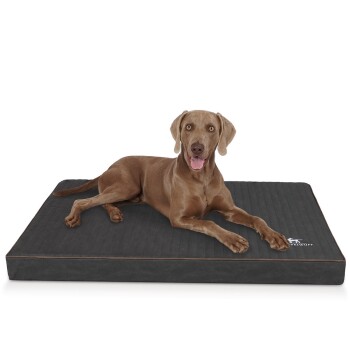 orthopädische Hundematte Palomino aus laser-gestepptem Kunstleder schwarz L
