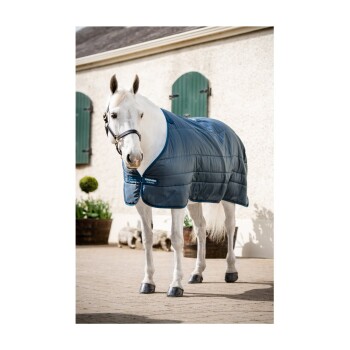 Ein weißes Pferd mit einer blauen gepolsterten Decke steht auf einem Kopfsteinpflasterweg, mit grünen Pflanzen und einem Gebäude im Hintergrund.