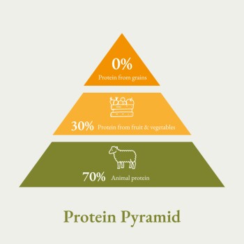 Infografik, die eine Proteinpyramide für Haustierfutter zeigt: 0 % Protein aus Getreide, 30 % aus Obst und Gemüse, 70 % aus tierischem Protein.