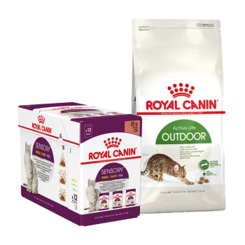 Emballage de nourriture pour animaux Royal Canin présentant une boîte de 12 sachets Sensoriels et un sac de nourriture sèche Active Life Outdoor pour chats.
