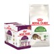 Emballage de nourriture pour animaux Royal Canin présentant une boîte de 12 sachets Sensoriels et un sac de nourriture sèche Active Life Outdoor pour chats.