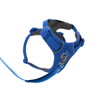 Blaues Hundegeschirr mit verstellbaren Riemen und einem Metallclip zur Leinenbefestigung, entworfen für Komfort und Sicherheit.