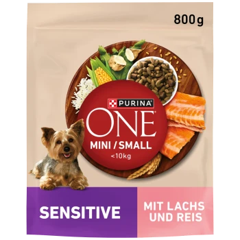 Karma dla psów Purina ONE Mini/Małe Wrażliwe, opakowanie 800g z łososiem i ryżem, z kolorowym zestawem składników.