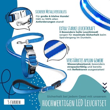 LED-Hundeleine in Blau mit sicherem Metallverschluss, mit hellen Lichtmodi für Sicherheit in der Nacht, aus verstärktem Nylon, wasserdicht.