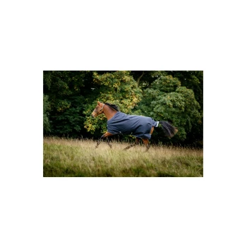 Ein braunes Pferd, das eine dunkelblaue Decke trägt, galoppiert durch ein grasbewachsenes Feld, umgeben von Bäumen im Hintergrund.