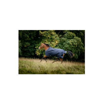Ein braunes Pferd, das eine dunkelblaue Decke trägt, galoppiert durch ein grasbewachsenes Feld, umgeben von Bäumen im Hintergrund.