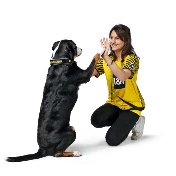 Ein Hund in einem schwarz-weißen Fell steht auf seinen Hinterbeinen und interagiert spielerisch mit einer Person in einem gelben Sporttrikot.