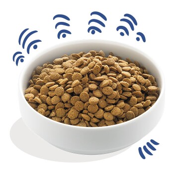 A white bowl filled with dry pet food kibbles, surrounded by stylized sound waves, suggesting freshness or appeal.