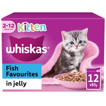 A box of Whiskas kitten food featuring a gray tabby kitten on a pink background, labeled "Fish Favourites in jelly," containing 12 x 85g servings.
