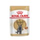 Royal Canin British Shorthair Katzenfutterbeutel für Erwachsene, 85g, mit einer grauen British Shorthair Katze und Stückchen Futter in Soße.