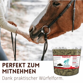 Nahaufnahme einer Person, die ein braunes Pferd füttert; Eimer mit Supravit 'Balance Leckerli'-Leckerlis und Schriftzug 'PERFEKT ZUM MITNEHMEN'.