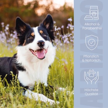 Bild eines Haustierberuhigungssprays mit einer Schüssel Tabletten. Text weist an, gut zu schütteln und 3-5 Mal zu sprühen für beruhigende Effekte.