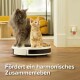 CatComfort Excellence Nachfüll-Flakon für Verdampfer