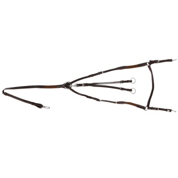 Ein braunes Lederhaustiergeschirr mit verstellbaren Riemen und Metallringen, entworfen für Komfort und Kontrolle während der Spaziergänge.