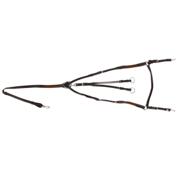 Ein braunes Lederhaustiergeschirr mit verstellbaren Riemen und Metallringen, entworfen für Komfort und Kontrolle während der Spaziergänge.