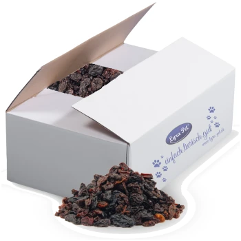 Eine teilweise geöffnete weiße Box mit Trockenfrüchten, die auf die Oberfläche fällt, mit der Marke "Lura Pet" und "einfach tierisch gut."