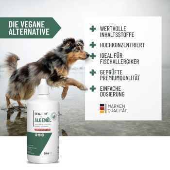 Ein Hund, der in der Nähe von Wasser läuft, mit einer Flasche REAVET Algenöl im Vordergrund, mit Text, der die Vorteile seiner veganen Alternative hervorhebt.