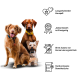 Drei Hunde sitzen zusammen mit Text, der ein Haustierprodukt hervorhebt: "Langanhaltender Kausnack," "Einzigartige Geweihe," "Keine Konservierungsstoffe," "Handverlesen."
