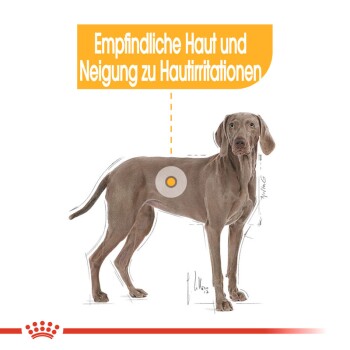 Illustration eines Hundes mit hervorgehobenen Bereichen, die empfindliche Haut und Anfälligkeit für Hautreizungen anzeigen, mit deutschem Text darüber.