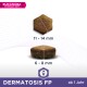Eukanuba Veterinary Diets Dermatosis FP Hundefutterkibble, mit zwei Kibblesorten: hexagonal (11-14 mm) und rund (6-8 mm).