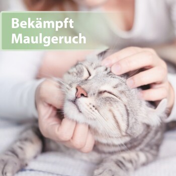Eine Person streichelt sanft eine entspannte graue getigerte Katze, mit dem Text 'Bekämpft Maulgeruch', der prominent in der oberen linken Ecke angezeigt wird.