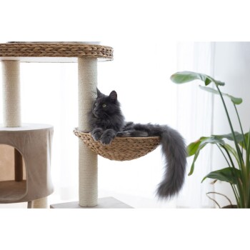Een fluffy grijze kat die ontspant in een geweven hangmat bevestigd aan een kattenboom, met een zachte beige schuilplaats en een groene plant in de buurt.