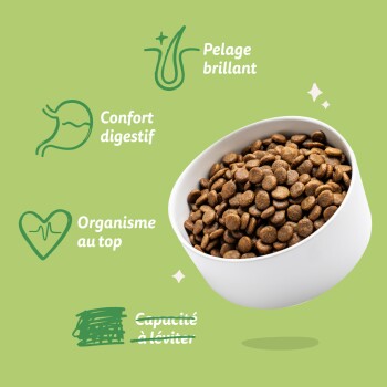 Bol de croquettes sèches sur fond vert avec des icônes et des légendes françaises : «Pelage brillant», «Confort digestif», «Organisme au top», «Capacité à éviter» barrée.