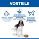 Hund neben einer Schüssel unter der Überschrift 'VORTEILE' mit Icons und deutschen Vorteilstexten: 'DHA aus Fischöl', 'Verdauungsunterstützung', 'Unterstützt die schlanke Muskelmasse'.