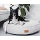 Ein schwarz-weißer Border Collie ruht auf einem hellgrauen Hundebett mit einem grauen Kauspielzeug in der Nähe, in einem gemütlichen Raum mit einer Pflanze und einem Bett.
