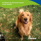 Lächelnder Golden Retriever auf Gras mit Blättern; deutscher Text 'So fördert ihr die Haut & Haare eures Hundes' und Canina-Logo.