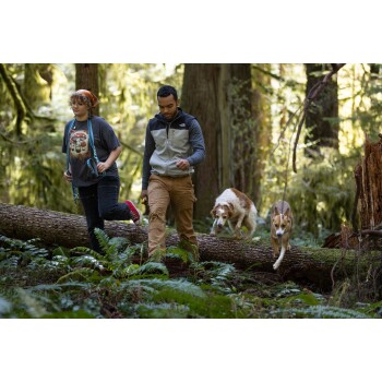 Ein Mann und eine Frau gehen durch einen üppigen Wald und überqueren einen umgefallenen Baumstamm mit zwei Hunden neben ihnen.