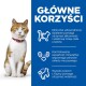 Biały i pomarańczowy kot stoi obok niebieskiego panelu z korzyściami dla aktywności, zdrowia układu moczowego i witalności.