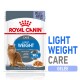 Pochette de nourriture pour chats Royal Canin Light Weight Care avec un chat brun, avec du texte mettant en avant "Light Weight" et "Résultats prouvés à plus de 90%."