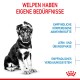 Ein schwarz-weißer Welpe auf einem weißen Hintergrund, mit rotem Text darüber: "Welpen haben eigene Bedürfnisse" und blauen Hervorhebungen seiner Bedürfnisse.